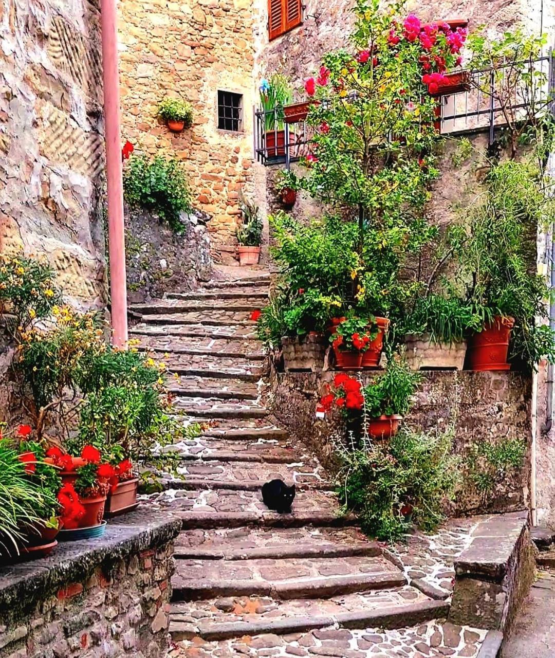 Torre Del Duca Guest House Bagni di Lucca Exterior photo